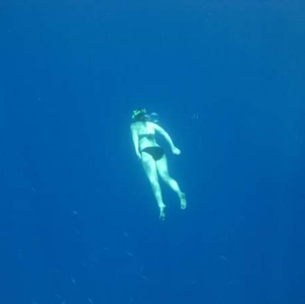 Meet your Posher, Missy